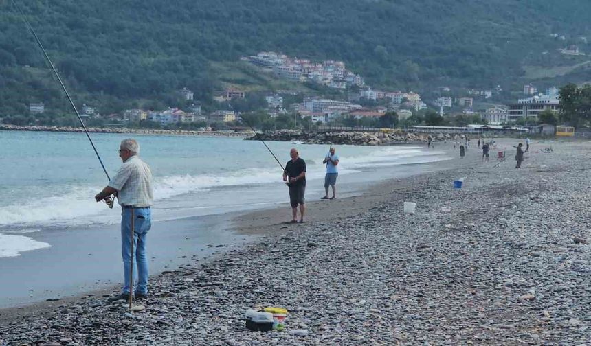 Karadeniz'de balık bolluğu yaşanıyor