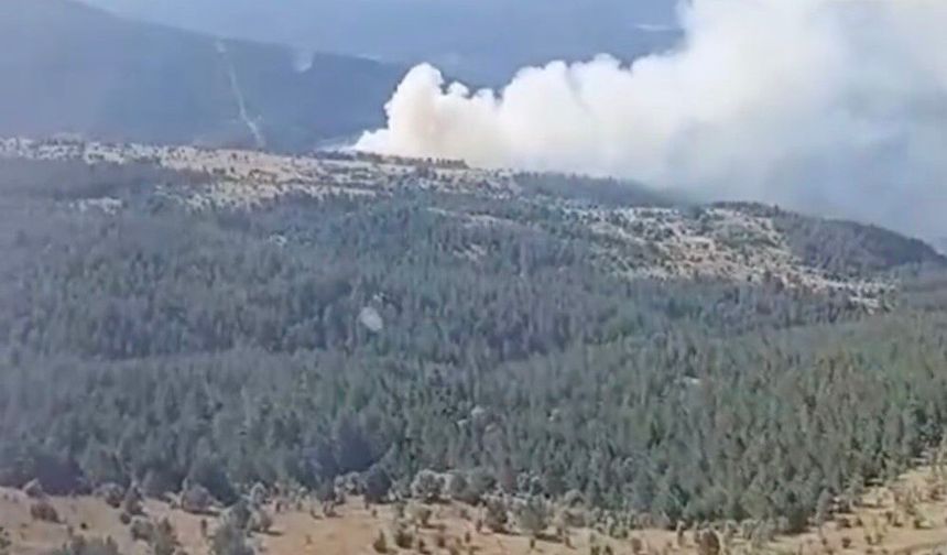 Kastamonu'da çıkan orman yangını ekiplerin hızlı müdahalesiyle söndürüldü