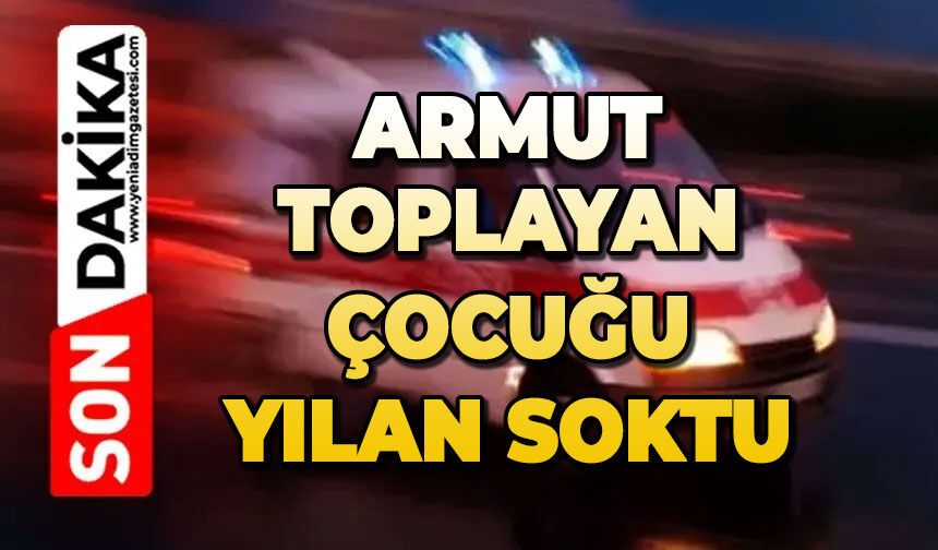 Armut toplayan çocuğu yılan soktu