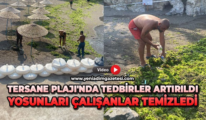 Tersane Plajı'nda tedbirler artırıldı: Yosunları çalışanlar temizledi