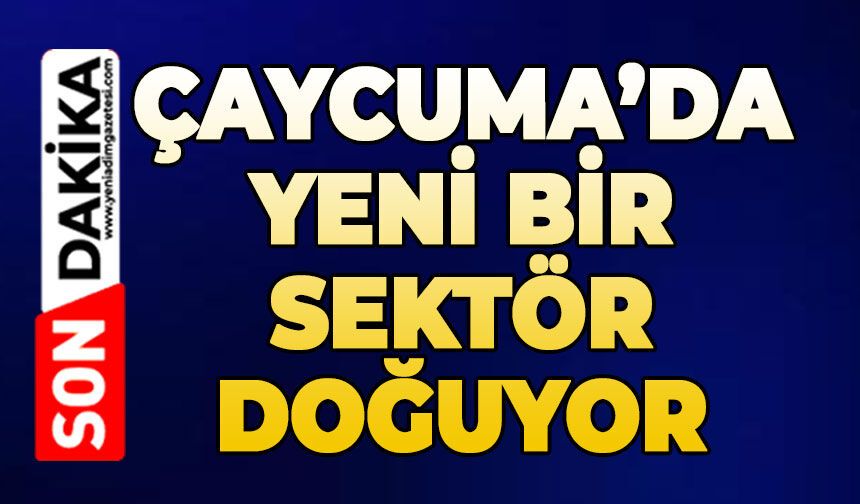 Çaycuma'da yeni bir sektör doğuyor