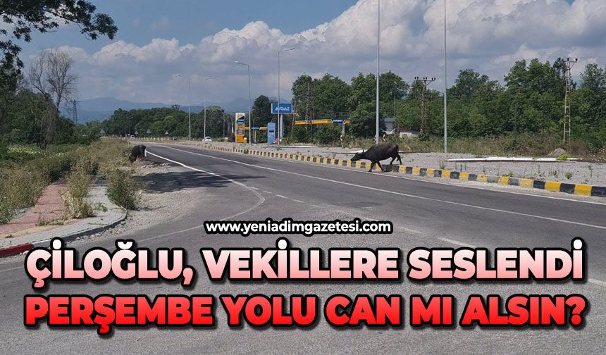 Çiloğlu, vekillere seslendi: Perşembe yolu can mı alsın?