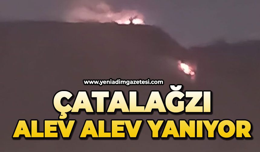 Çatalağzı'nda ormanda yangını: Ekipler bölgeye sevk edildi