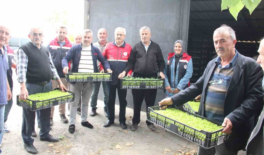 İnebolu'da 65 çiftçiye 88 bin 400 adet sebze fidesi dağıtıldı