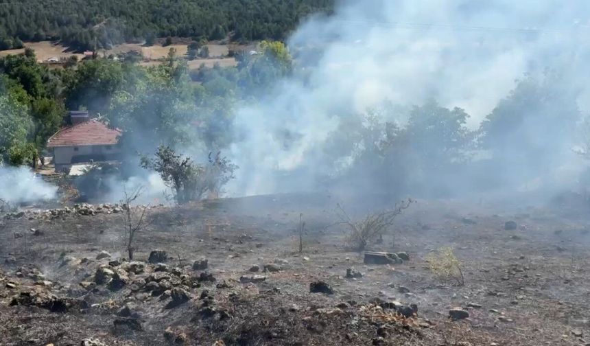 Karabük'te korkutan anız yangını büyümeden söndürüldü