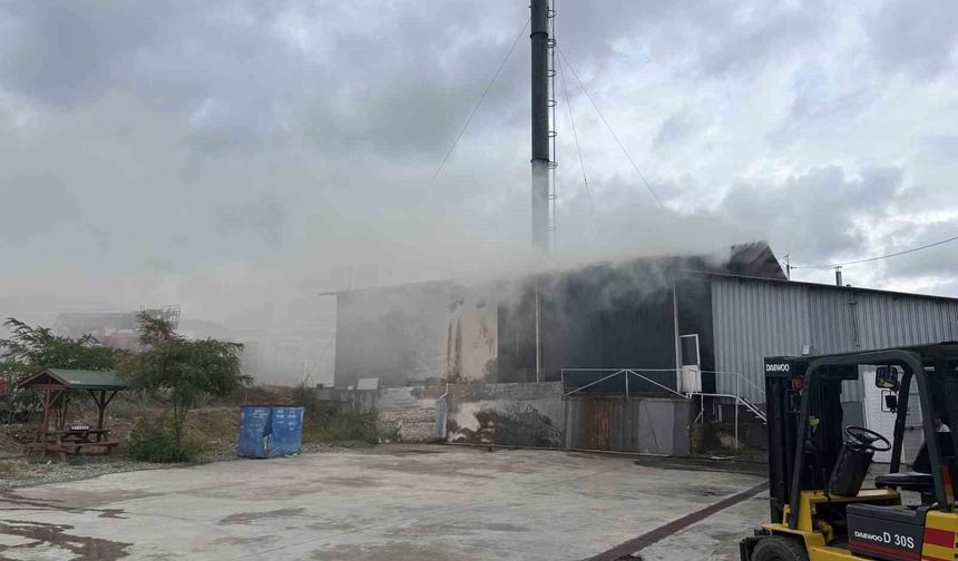 Kastamonu'da süt fabrikasının talaş silosunda çıkan yangın söndürüldü