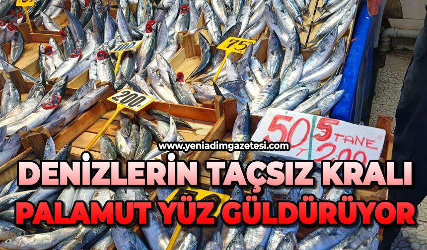 Denizlerin taçsız kralı palamut yüz güldürüyor