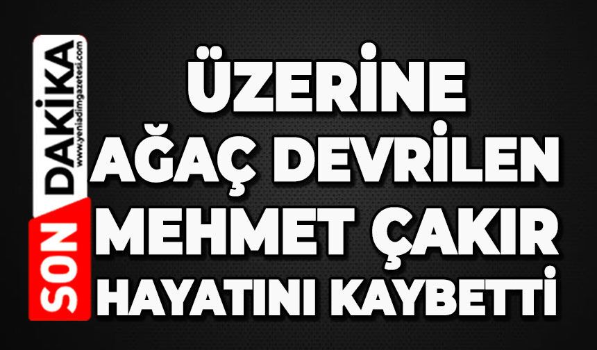 Üzerine ağaç devrilen Mehmet Çakır hayatını kaybetti