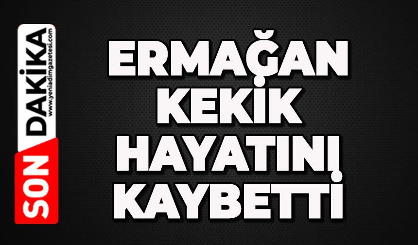 Ermağan Kekik hayatını kaybetti
