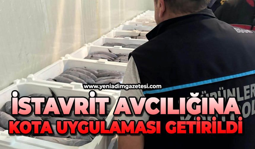 İstavrit avcılığına kota uygulaması getirildi