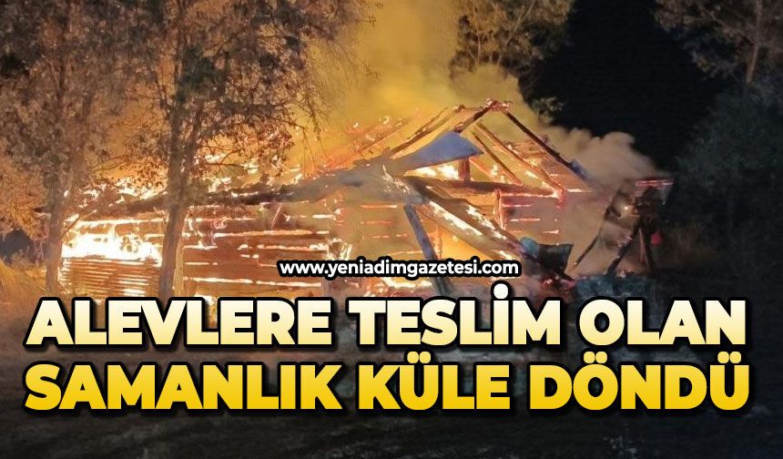 Alevlere teslim olan samanlık küle döndü