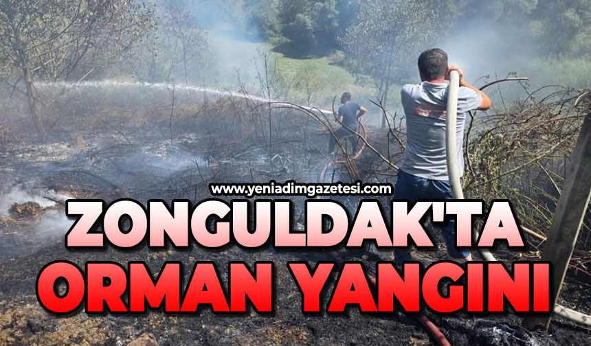 Zonguldak'ta orman yangını