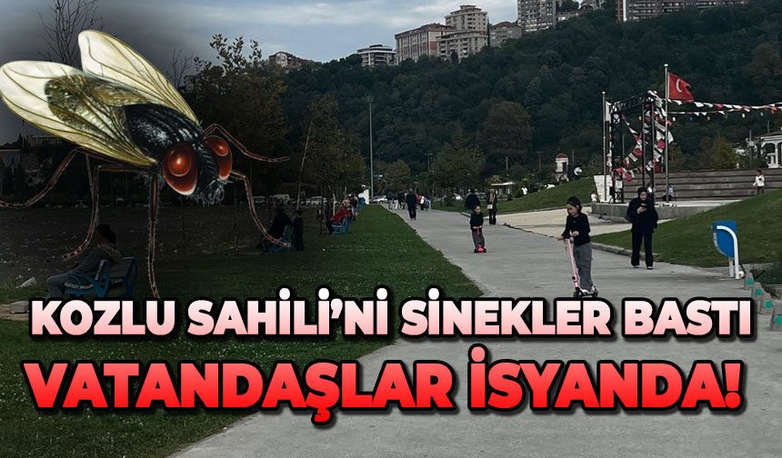 Kozlu Sahili’ni sinekler bastı: Vatandaşlar isyanda!