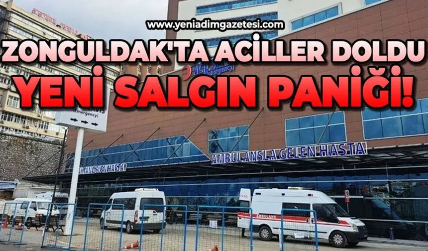 Zonguldak'ta virüs yeniden görülmeye başladı