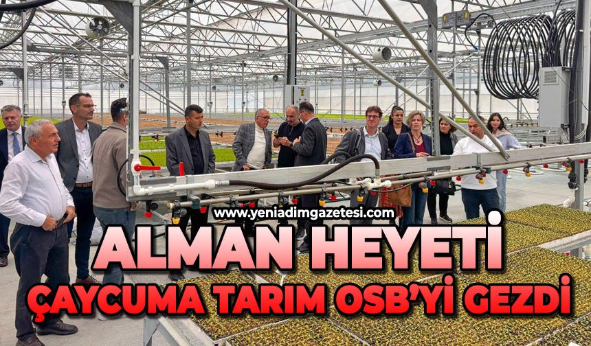 Alman Heyeti Çaycuma Tarım OSB’yi gezdi