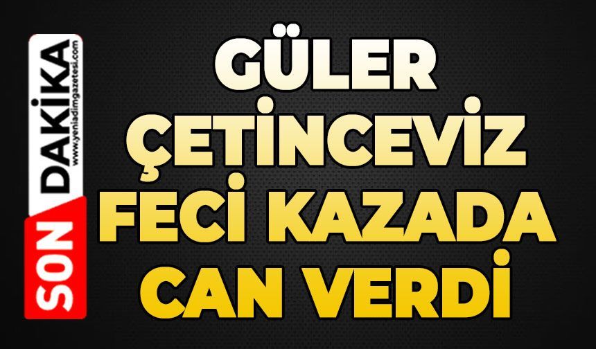 Yaya geçidinde karşı şeride geçen motorlu bisiklete çarptı: 1 ölü