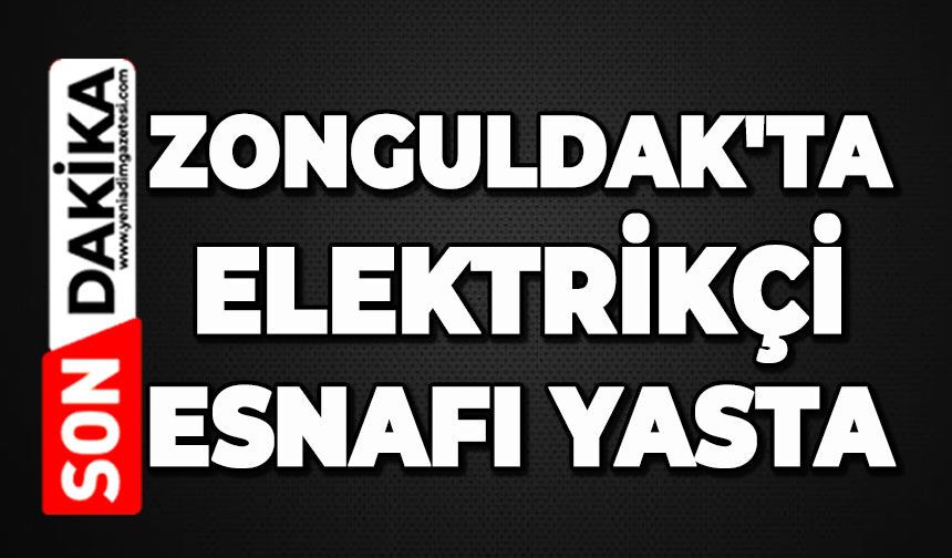Zonguldak'ta elektrikçi esnafı yasta