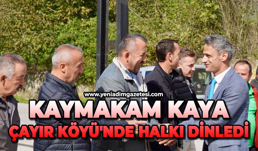 Kaymakam Kaya, Çayır Köyü'nde halkı dinledi