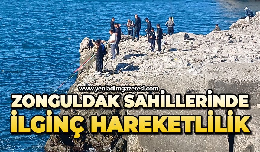 Zonguldak sahillerinde ilginç hareketlilik