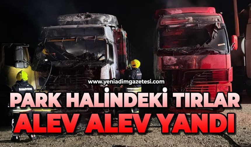 Park halindeki tırlar alev alev yandı