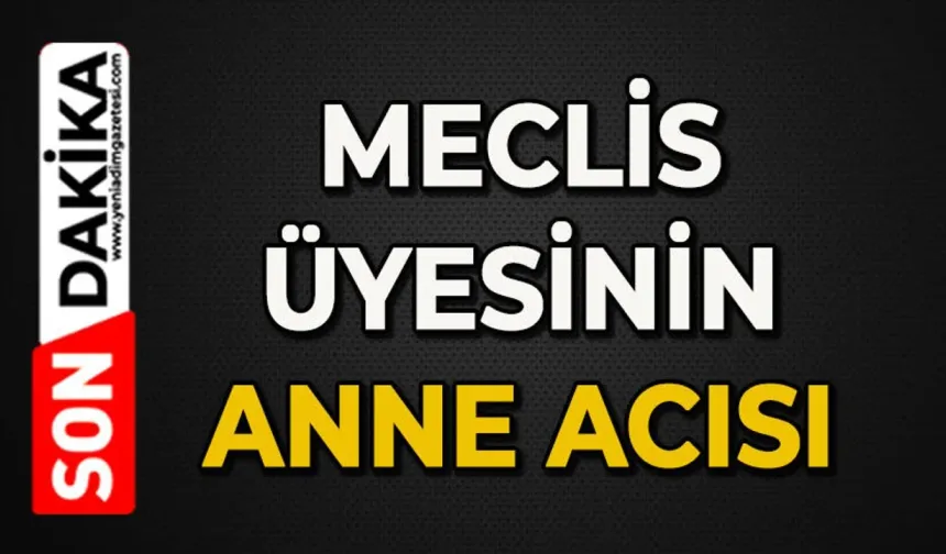 Meclis üyesinin anne acısı