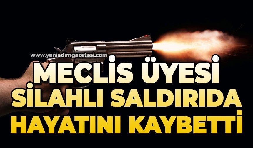 Meclis üyesi silahlı saldırıda hayatını kaybetti