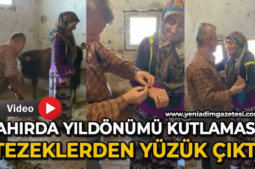 Ahırda yıl dönümü kutlaması: Tezeklerden yüzük çıktı