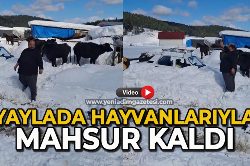 Yaylada hayvanlarıyla mahsur kaldı