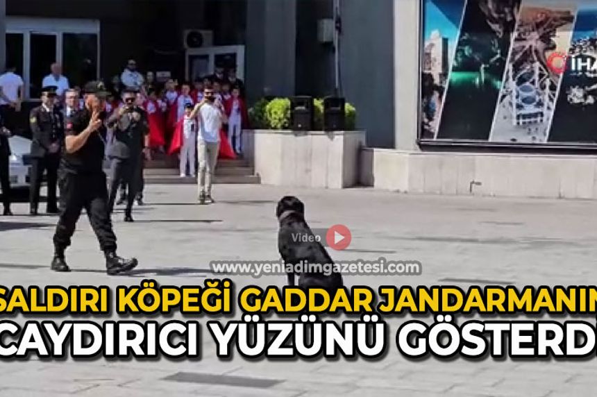 Saldırı köpeği Gaddar, jandarmanın caydırıcı yüzünü gösterdi