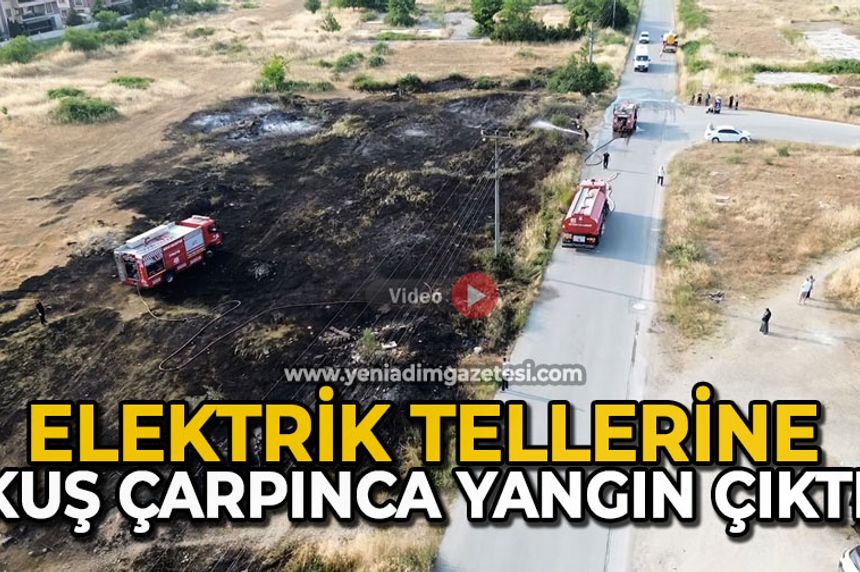 Elektrik tellerine kuş çarpınca yangın çıktı
