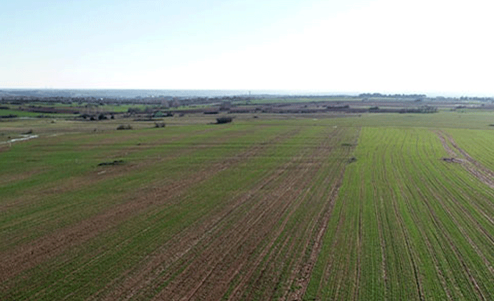 Zonguldak Gökçebey'de 1.110 m2 tarla mahkemeden satılıktır(çoklu satış)