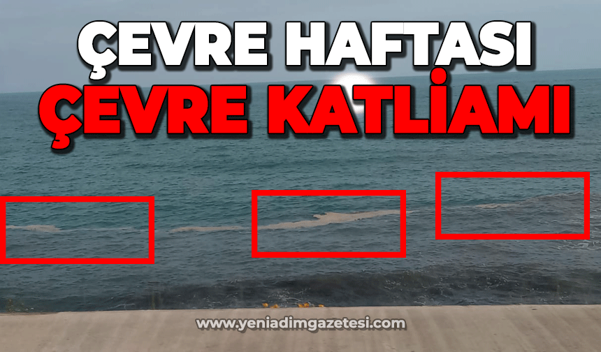 Çevre Haftası'nda Çevre Katliamı: Yetkilileri göreve davet ediyoruz!