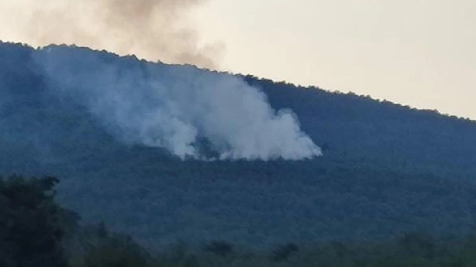 Gece boyunca devam eden sağanak yağışın ardından düşen yıldırımlar, İzmir'de 7 bölgede orman yangınlarına sebep oldu. Detaylar için...