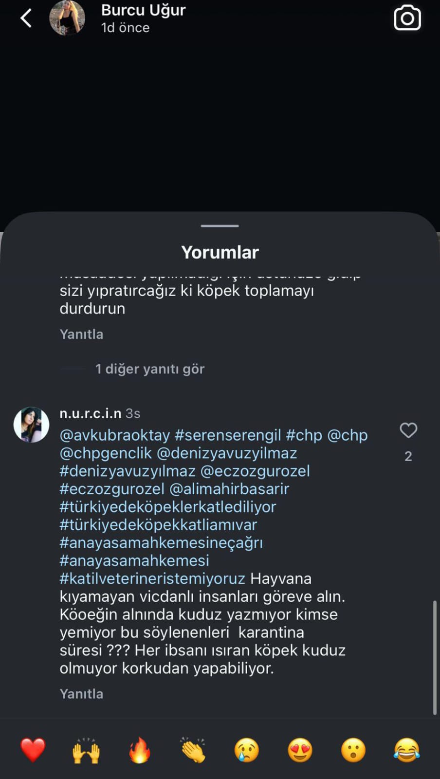 84E81085 01C3 4A7C 8127 C2E88F178Acf