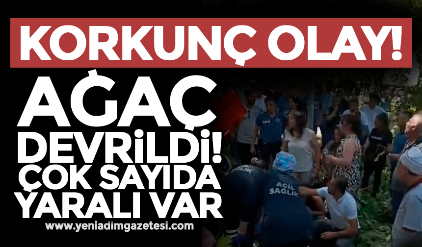 Korkunç olay: Ağaç devrildi! Çok sayıda yaralı var