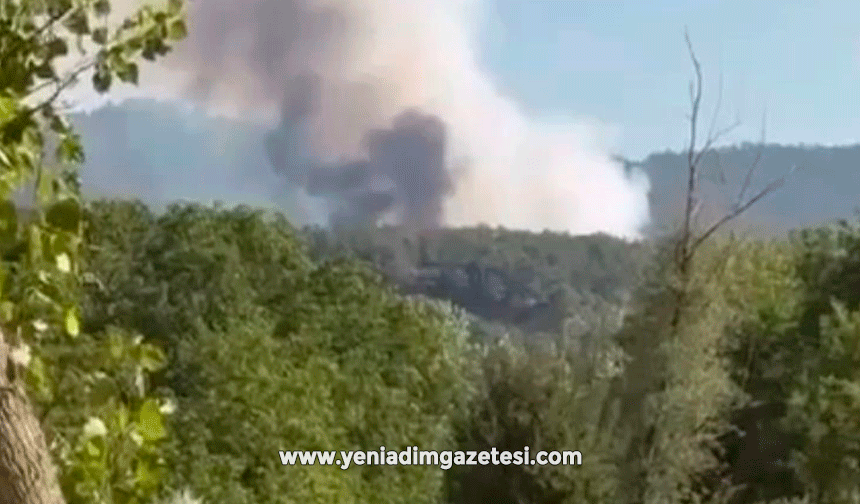 Bolu’da orman yangını