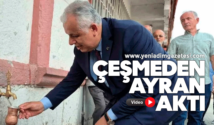 Çeşmeden ayran aktı