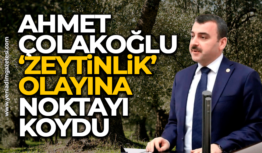 Ahmet Çolakoğlu ‘zeytinlik’ olayına noktayı koydu