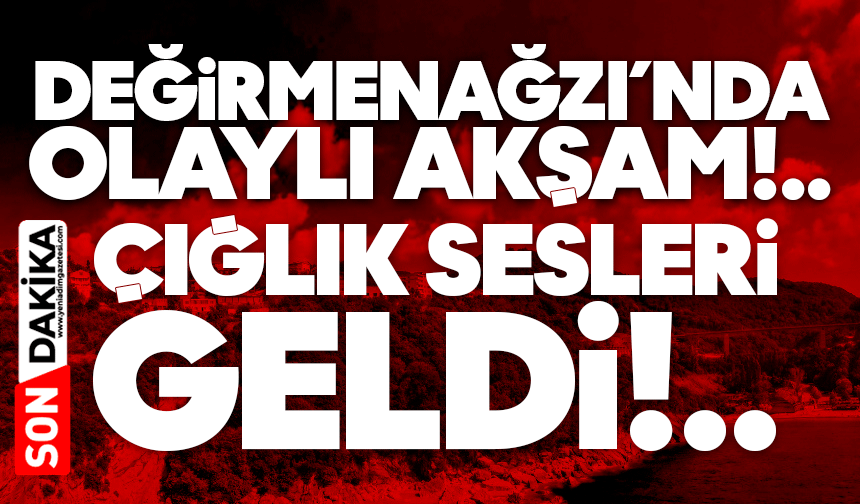 Değirmenağzı'nda olay: Çığlık sesleri geldi