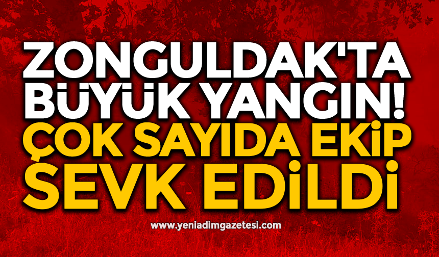 Zonguldak'ta büyük yangın! Çok sayıda ekip sevk edildi