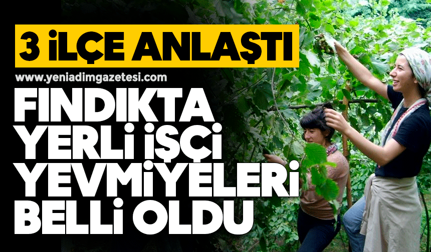 3 ilçe anlaştı: Fındıkta yerli işçi yevmiyeleri belli oldu
