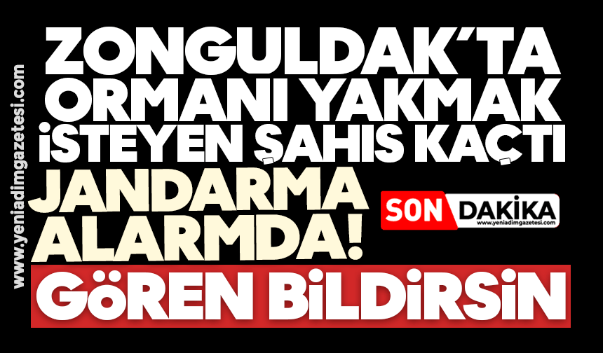 Zonguldak’ta ormanı yakmak isteyen şahıs kaçtı: Jandarma alarmda! Gören bildirsin