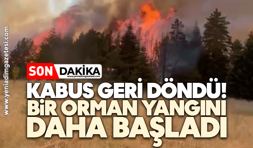 Kabus geri döndü: Bir orman yangını daha başladı