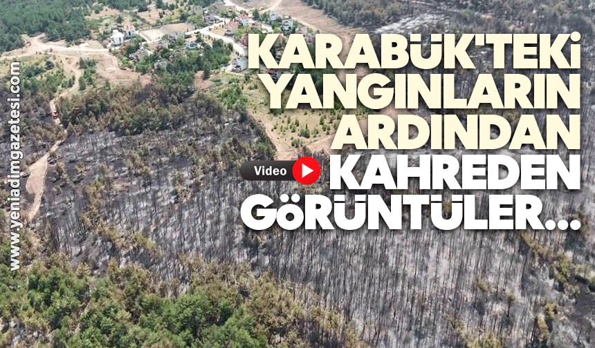 Karabük'teki yangınların ardından kahreden görüntüler...