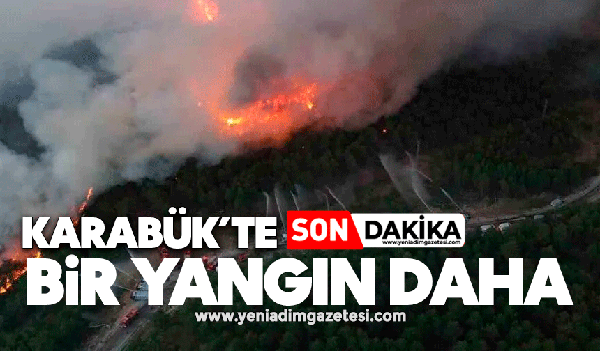 Karabük’te yine orman yangını