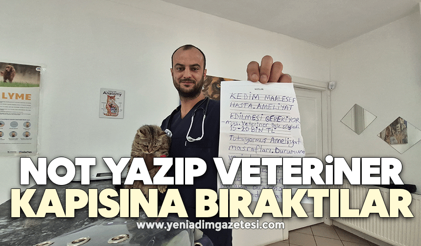 Kediyi not yazıp çanta içinde veteriner kapısına bıraktılar
