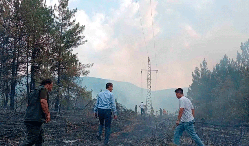 Ormanlık alandaki örtü yangını kontrol altına alındı