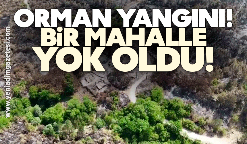 Orman yangını! Bir mahalle yok oldu!