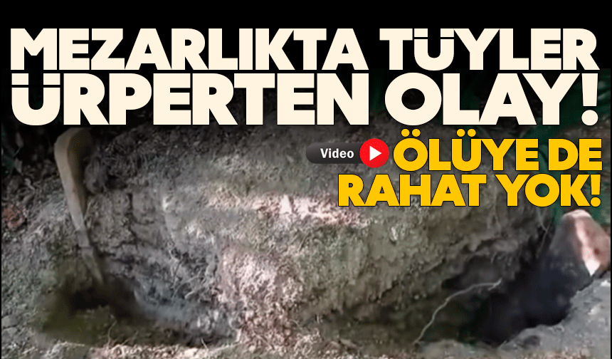 Mezarlıkta tüyler ürperten olay: İki ucundan açılmış halde bulundu