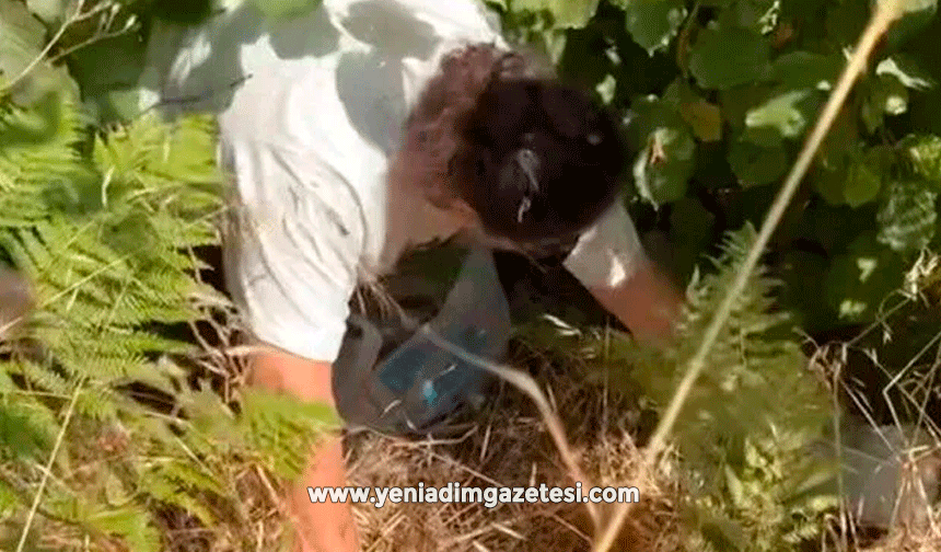 Yangınlara dikkat çekti, ormanı temizledi